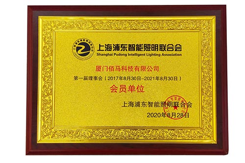 永州欧陆在线受邀加入上海浦东智能照明联合会，与智慧照明、物联网、智能化等领域生态链的上下游企业，共同推动智慧灯杆产业的应用和发展。