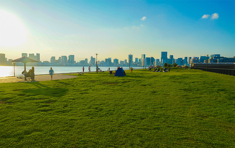 海绵城市.jpg 海绵城市.jpg